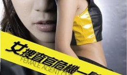 女子搜查官在线观看,揭秘神秘调查背后的惊心动魄